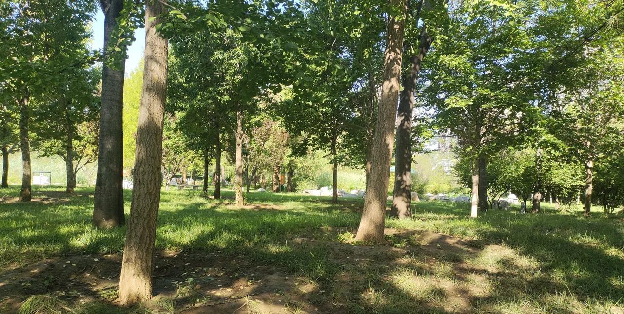 #晒图笔记大赛#
晒张图么么哒，幽静清新脱俗，每天到这里转转，心情必须好