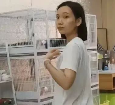 太狠了，必须曝光！沈阳女子邓裴元，于猫咖包房虐猫20多分钟，致使4只猫死亡、2只