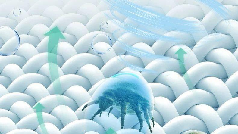 除螨仪怎么选？除螨仪有必要买贵的吗？2026十大公认好用的除螨仪品牌！看这一篇就够了！