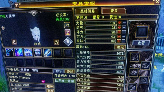 天龙怀旧服：什么雪貂卖9999元？裸资2699的完美野生雪貂？真假的