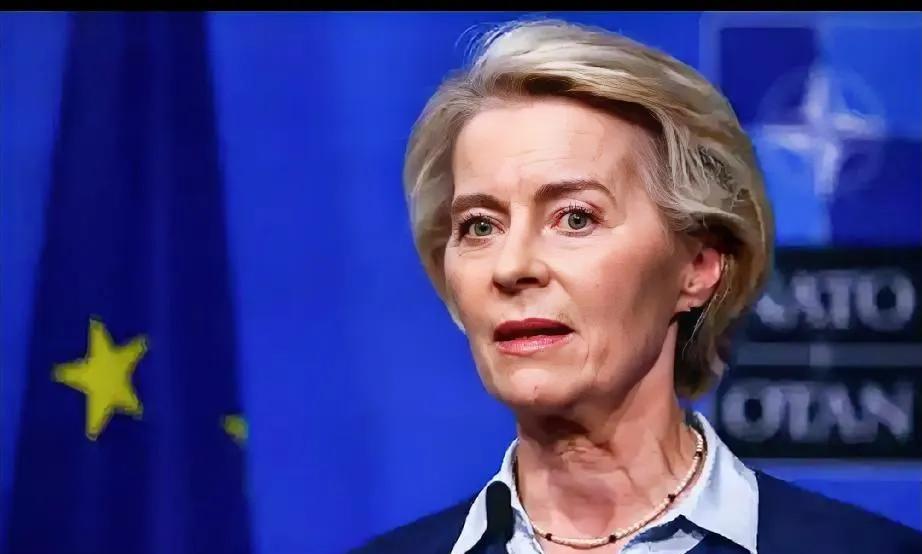 如今中美握手言和，美国原地打转，欧盟就更尴尬了。
《德国之声》说出口管制松动符合