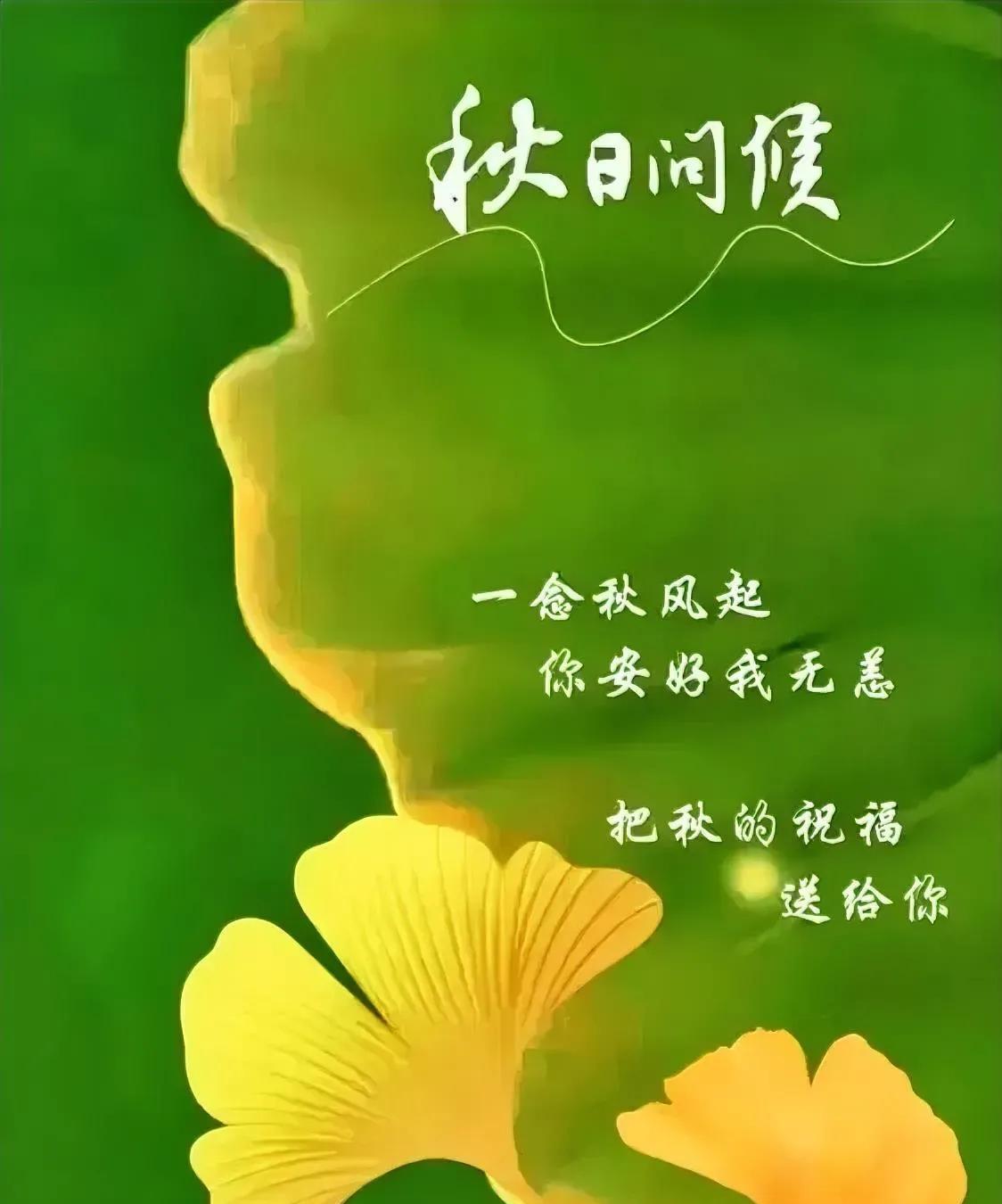 清晨说声早上好
好运连连来报到
但愿彼此皆平安
祥云瑞气紧缭绕
朝阳升起新希望