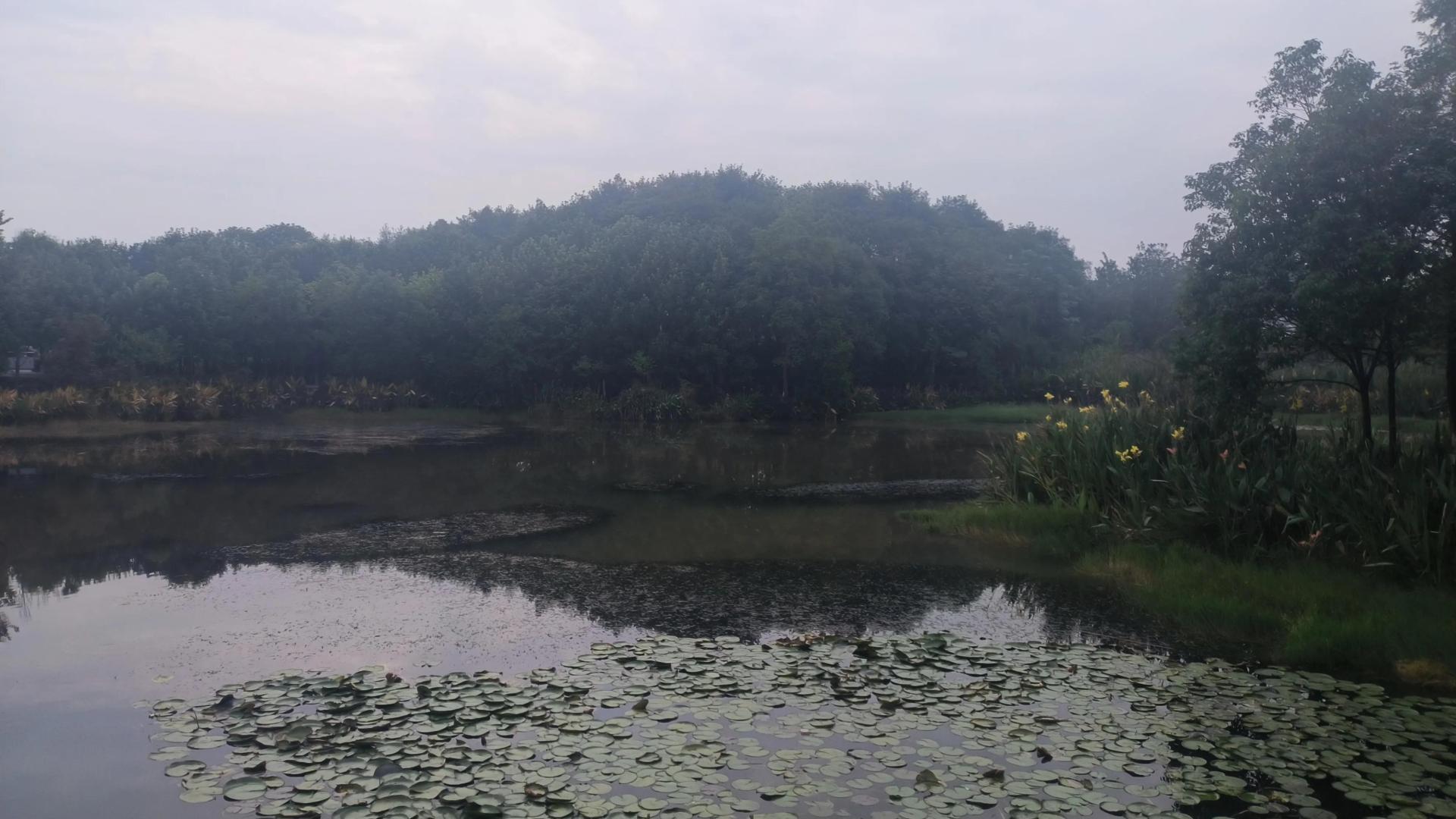 心碎不已！25岁女子被前渣男友杀害，遗体放在殡仪馆五年无法取回