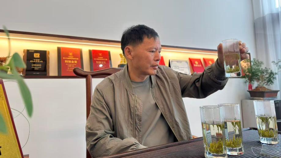 【浦江老师傅】陈兴堂：半生制茶守初心  春毫香气飘万里