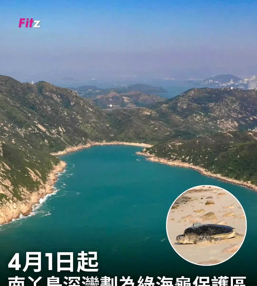 香港????有个南丫岛，南丫岛有个深湾沙滩，是香港唯一有绿海龟上岸产卵的地点，同