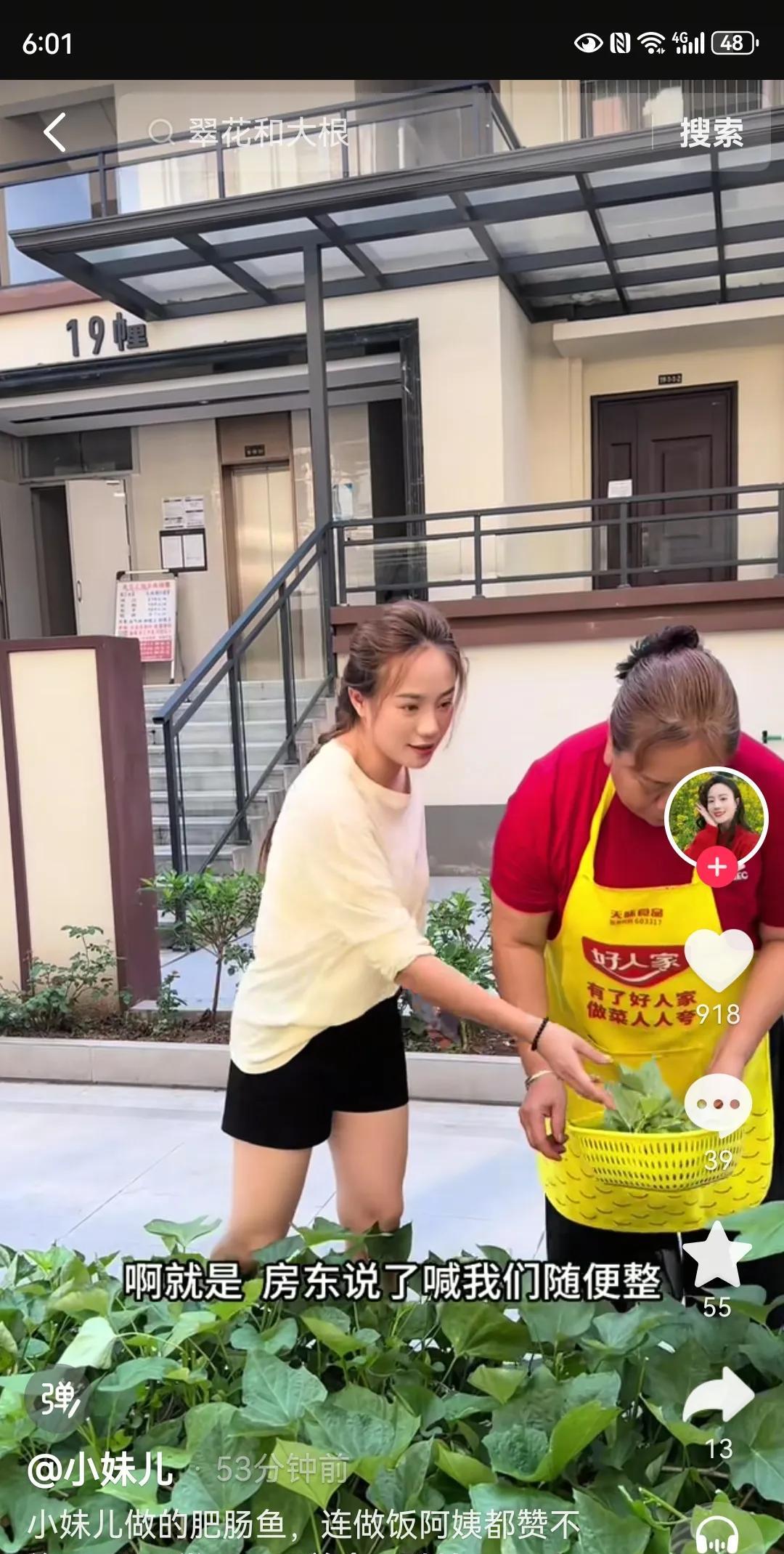 小妹儿转型，感觉转了个寂寞。
本来小妹儿在农村长大，习惯农村的生活习性，擅长的是