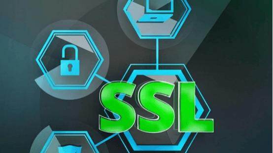 企业型OV通配符SSL证书