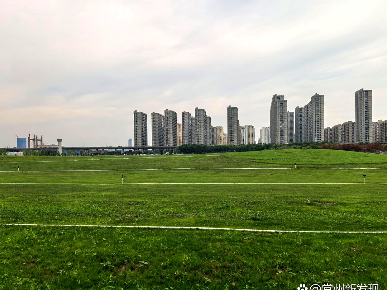 常州这地方，弄了个“大草原”。十万平方米，以前是油罐公园边的空地。现在好了，生态