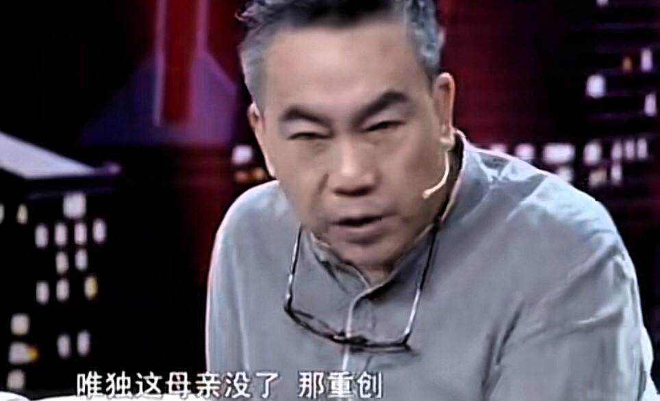 杨议骂自己是笨蛋，没文化。
事情的缘由原来是这样的，在方琼主持的一档电视节目里，