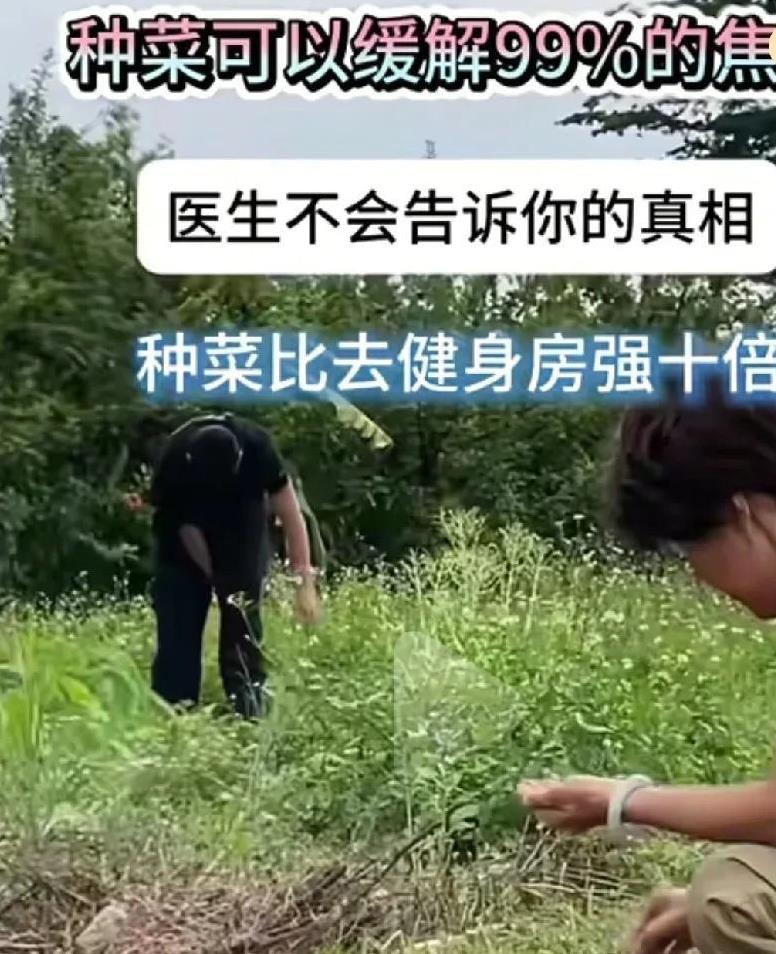 熊磊真的被封号了吗？怎么不相信呢？不知道她被封号的原因是什么？有知道的没？
有人