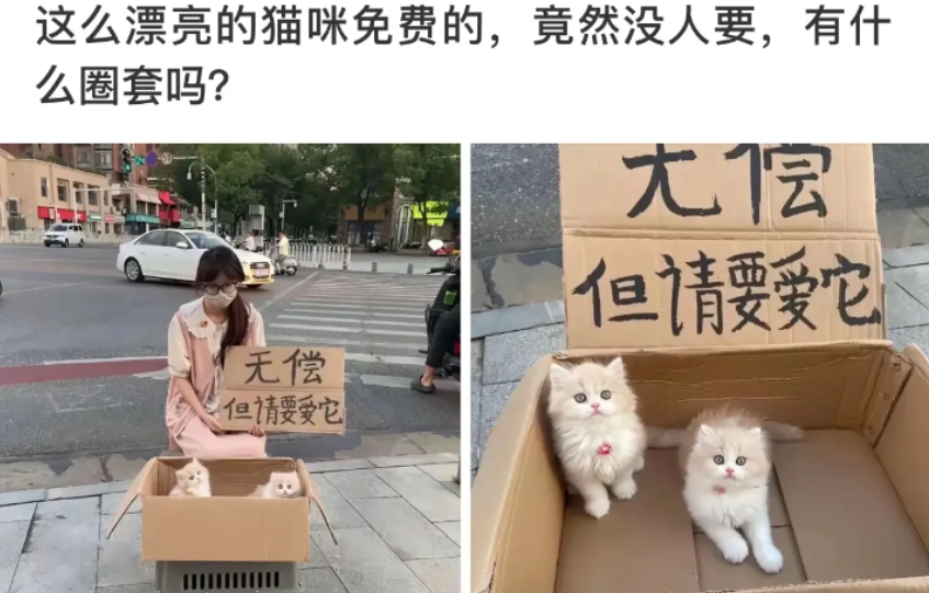 有什么圈套