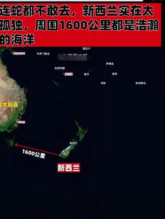 有人说新西兰实在是太孤单了，孤悬于海洋之上，周围1600公里内都是海洋，连蛇都不