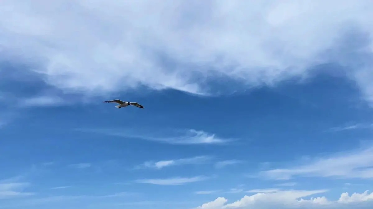 太要强，反而导致变弱？