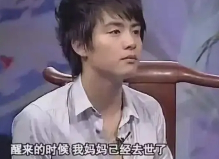 1991年，年仅五岁的马天宇，在母亲的授意下，买来一瓶药并亲手帮母亲服下，谁知母