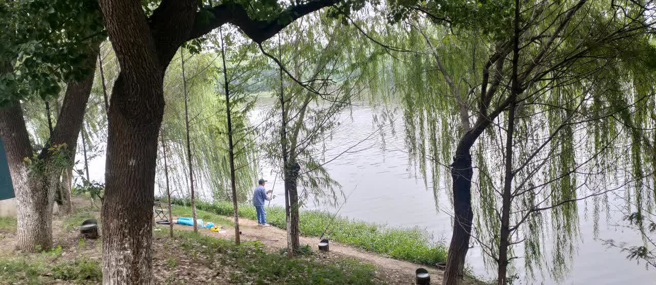 一些中老年人整天闲得慌，就整几根钓竿，天天跑到孝感市滚子河边垂钓。他们钓鱼各有取