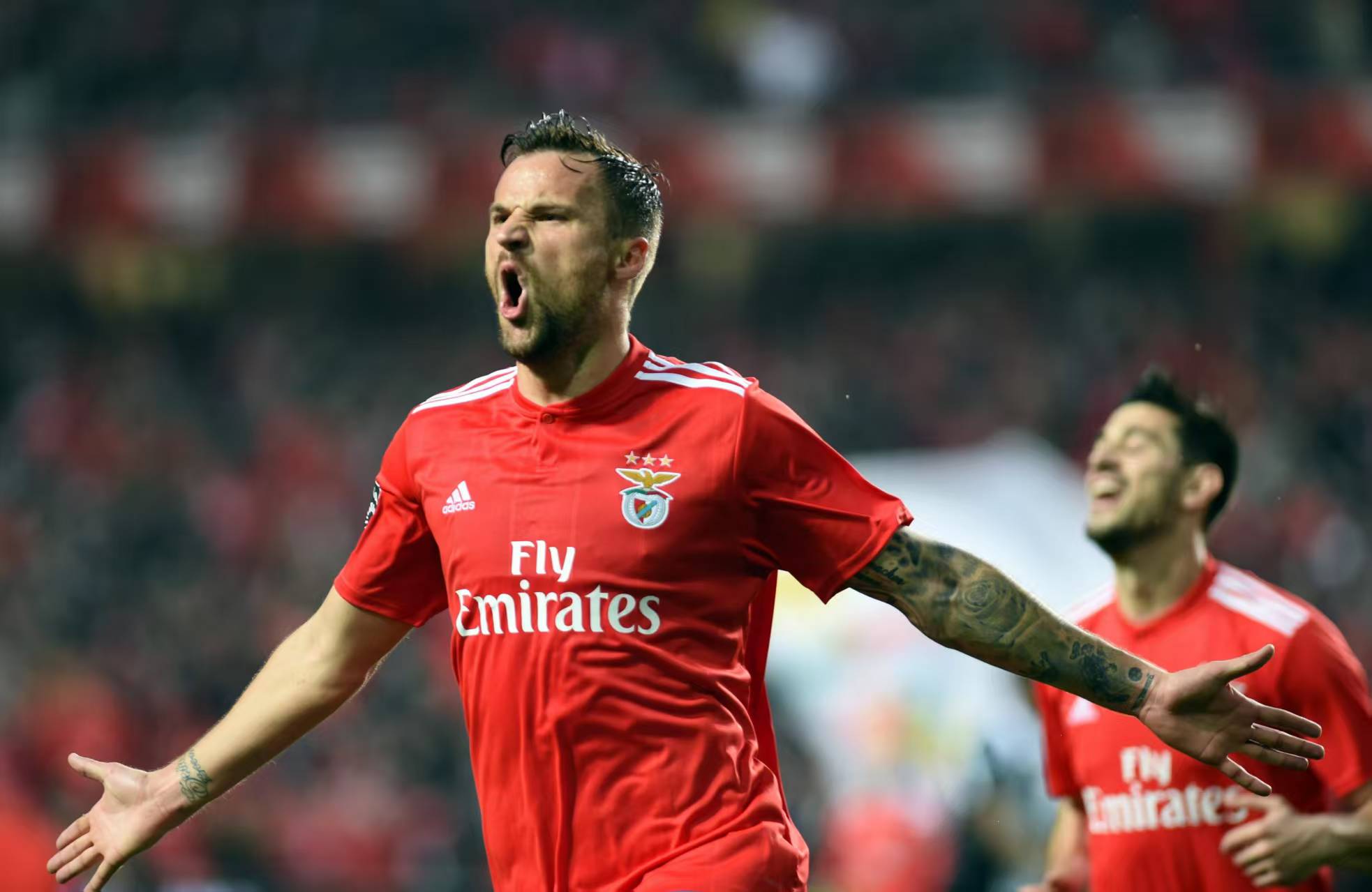 12月28日，赛事分析，提供参考！