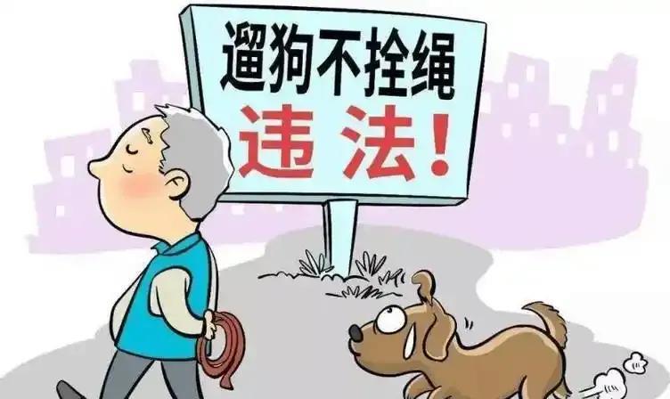 遛狗不拴绳，烈性犬咬人要被拘留了，以前看到没拴绳的狗狗提心吊胆，如今有新的《治安