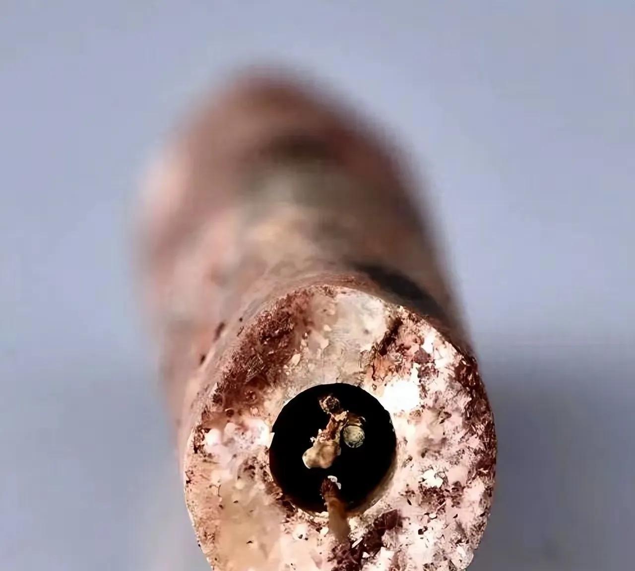 海昏侯又“开挂”了。两千年前的针灸居然是钢针
刚刷到个大新闻！江西考古队在海昏侯