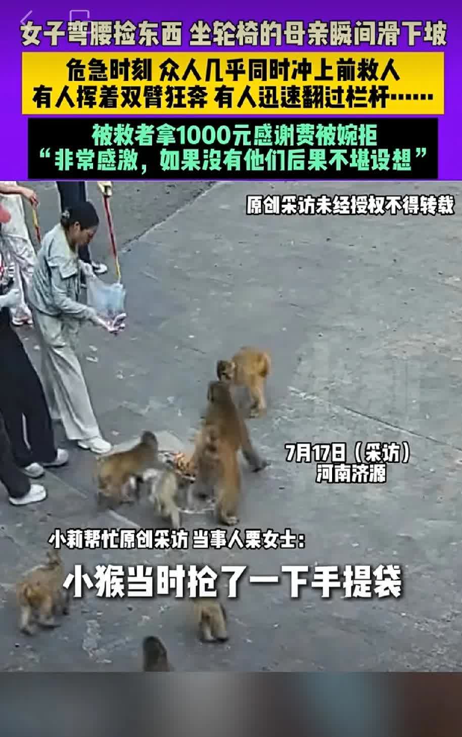 景区猴子真不地道。

女子推着坐轮椅的母亲在景区游玩，手中手提袋被猴子抢去，