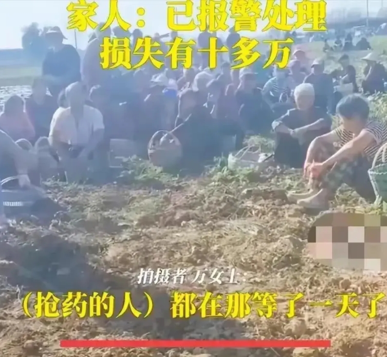 最大的回旋标事件已经发生，老美表示不服，0元购可不是漂亮的专利。
继宿州市哄抢土