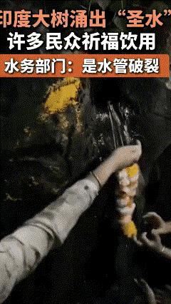 印度又闹笑话了！据印度媒体报道，一个公园里一棵树突然树干里往外冒水，这可把周围的