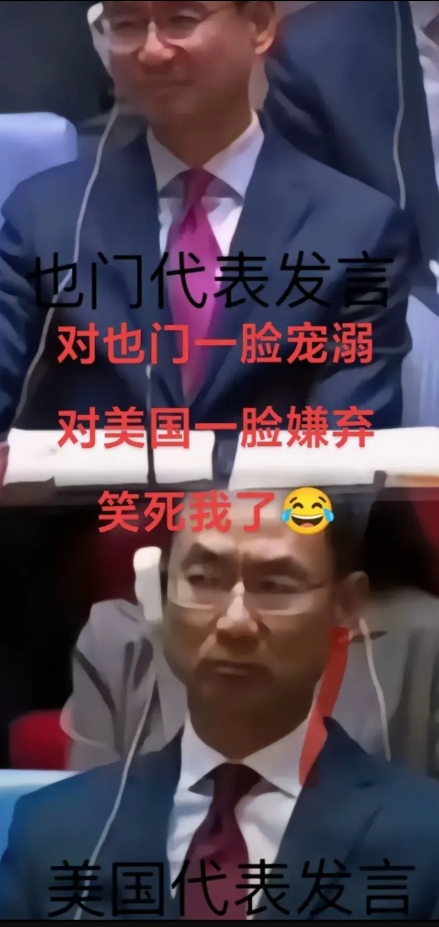 也门代表发言，对也门一脸宠溺。美国代表发言，对美国一脸嫌弃，笑死了。

我爽哥就