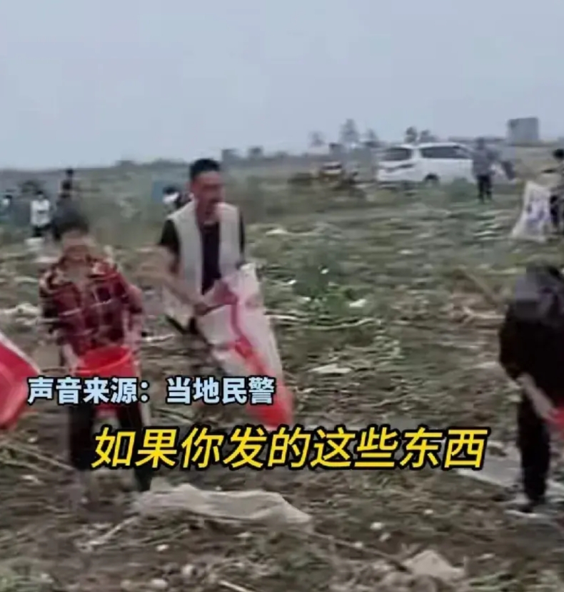 如果对安徽宿州这起哄抢土豆事件处理不好的话，感觉以后中国农业将面临一个发展难题，