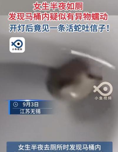 今年9月，江苏，女子半夜起床上厕所，不料，刚坐上马桶，就感觉下面有东西，她起身打