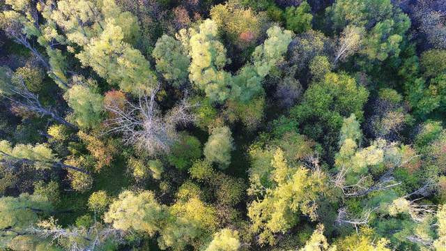 高密度80g棉浆纤维袋竹浆木浆纸袋电子产品手机平板手表电脑防护
