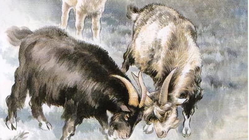 生肖羊，2025年立冬：11月23日-12月8日烦恼消除，定性大增！