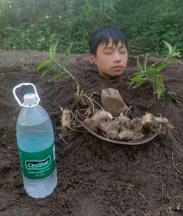 大家能联想到什么成语呢