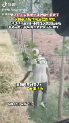 “好人有好报！”江苏一老人拦住过路的农机手，恳求对方帮忙收下麦子，无论多少钱都行