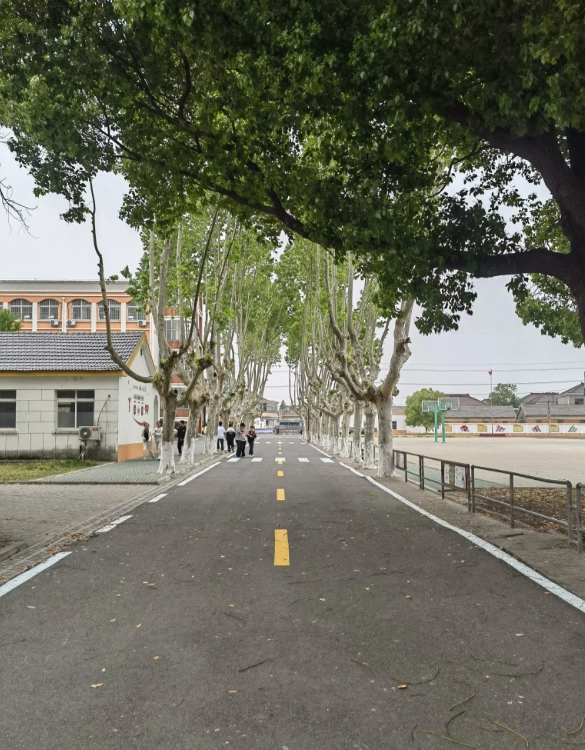 校长知道了真相还会这样做吗？
七年级有个学生调皮得全校皆知，每天班主任和上课老师
