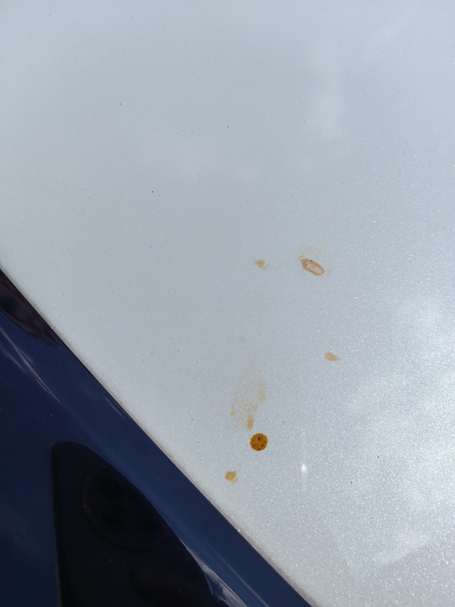 大意了洗不掉了是不是要抛光补漆了
停在树下，下雨就偷懒没管，突然出大太阳，再去洗