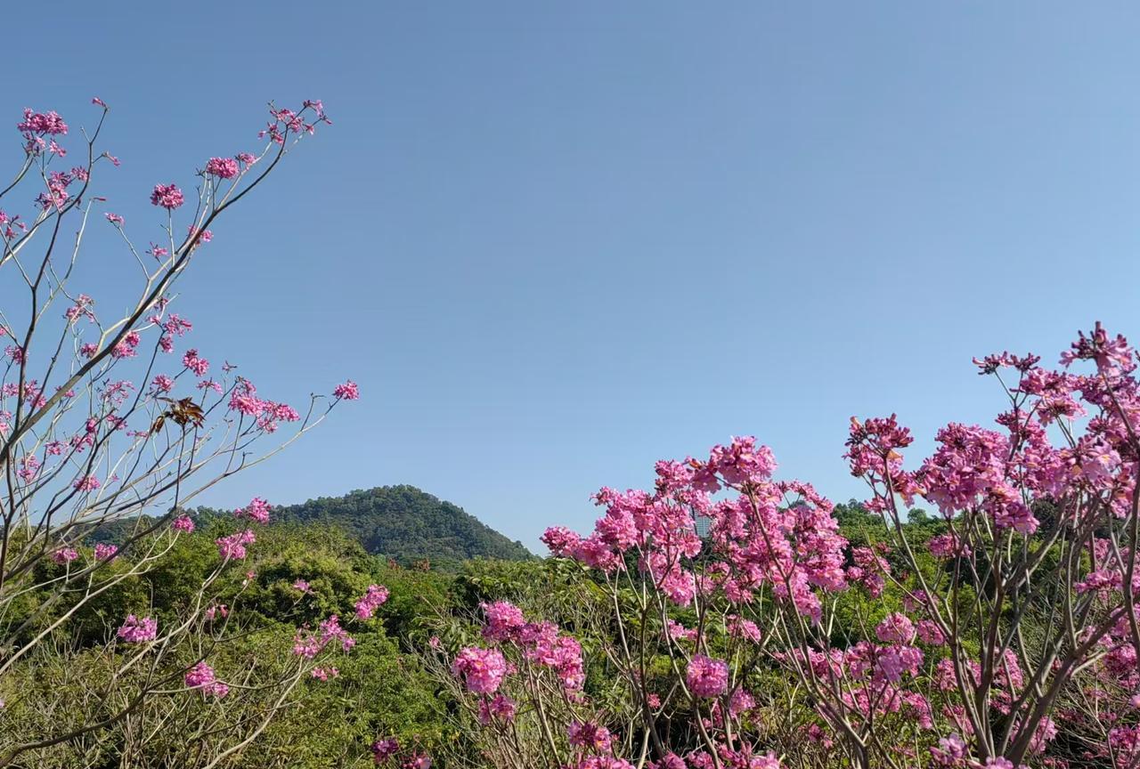 老了以后，才知道 ：
1.房 事，不能对外说。
2.和几个人，发 生 关系不能说