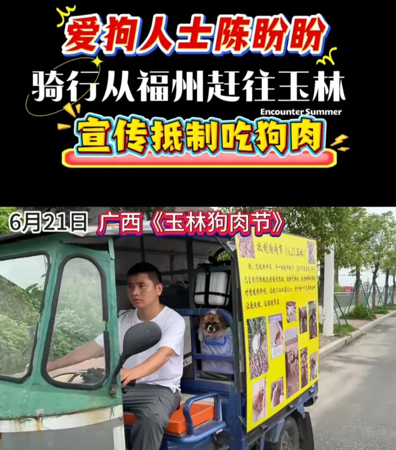 陈盼盼爱狗人士，抵达玉林宣传抵制吃狗肉你怎么看？
陈盼盼千遥万远，从福州自动骑车