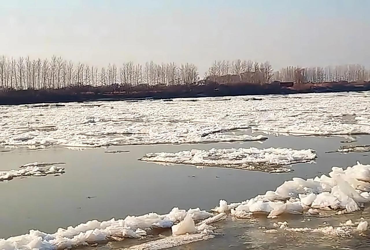 话说绥滨：松花江畔千年塔头墩
        我家乡绥滨所在的松花江畔，除了有开