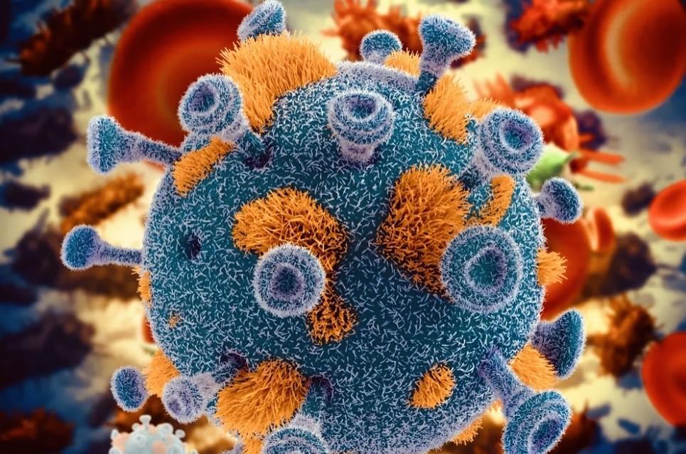 【俄“加马利亚”研究中心研发抗艾滋疫苗】
    感染HIV（人类免疫缺陷病毒）