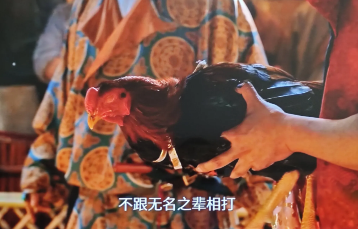 《长安的荔枝》: 斗鸡片段，好抽象好喜欢
果然打工没有不疯的，剧里何刺史斗鸡，鸡