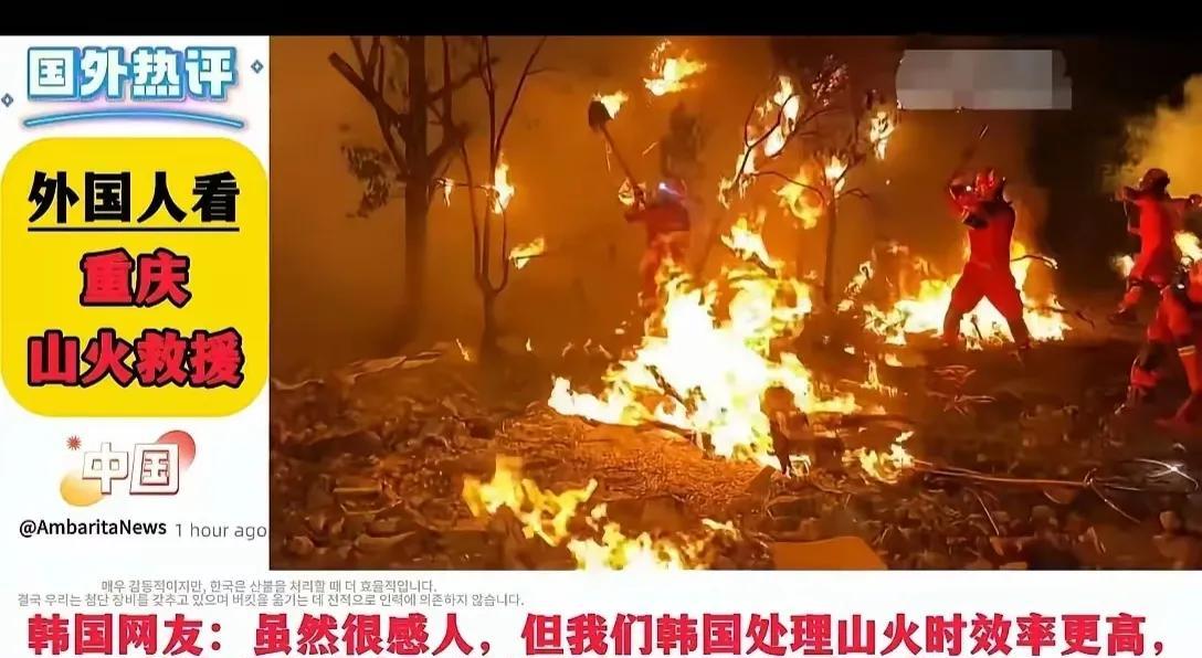 现实版萝卜蹲，洛杉矶烧完首尔烧，没完没了！
年初洛杉矶的山火，一个月都扑不灭，在