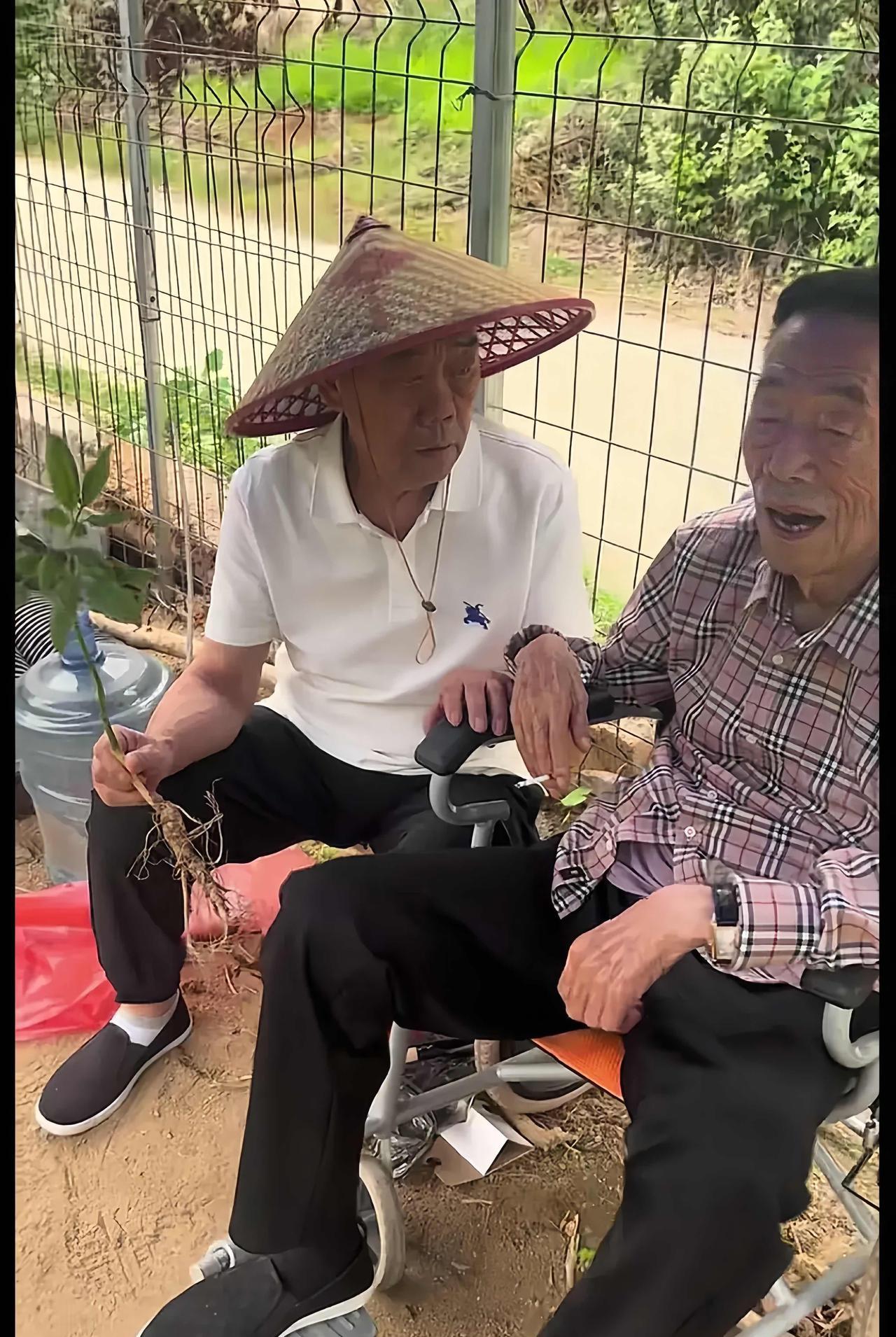 94岁杨老爷子已经瘦的皮包骨头了，到了他这个年纪，不是吃的不好，是真的吃不多了，