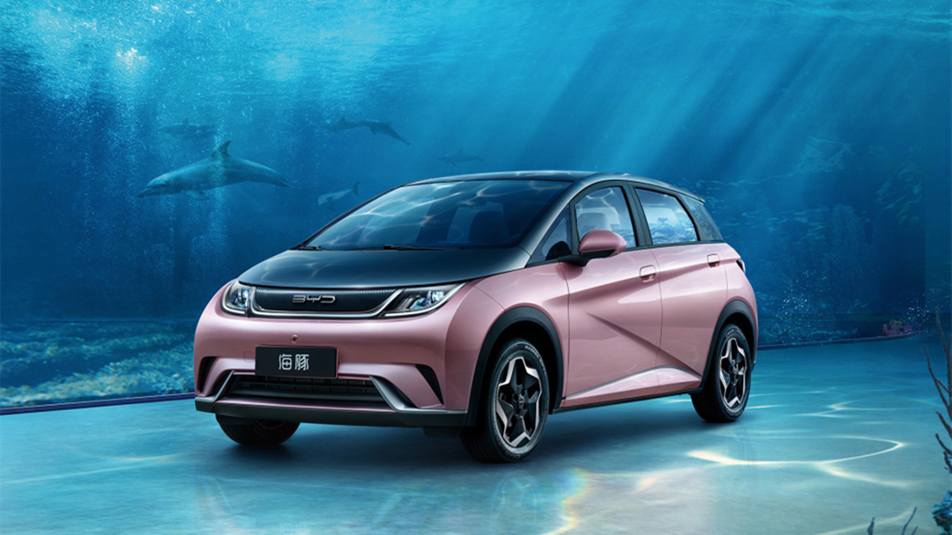 比亚迪海豚：城市出行的灵动精灵