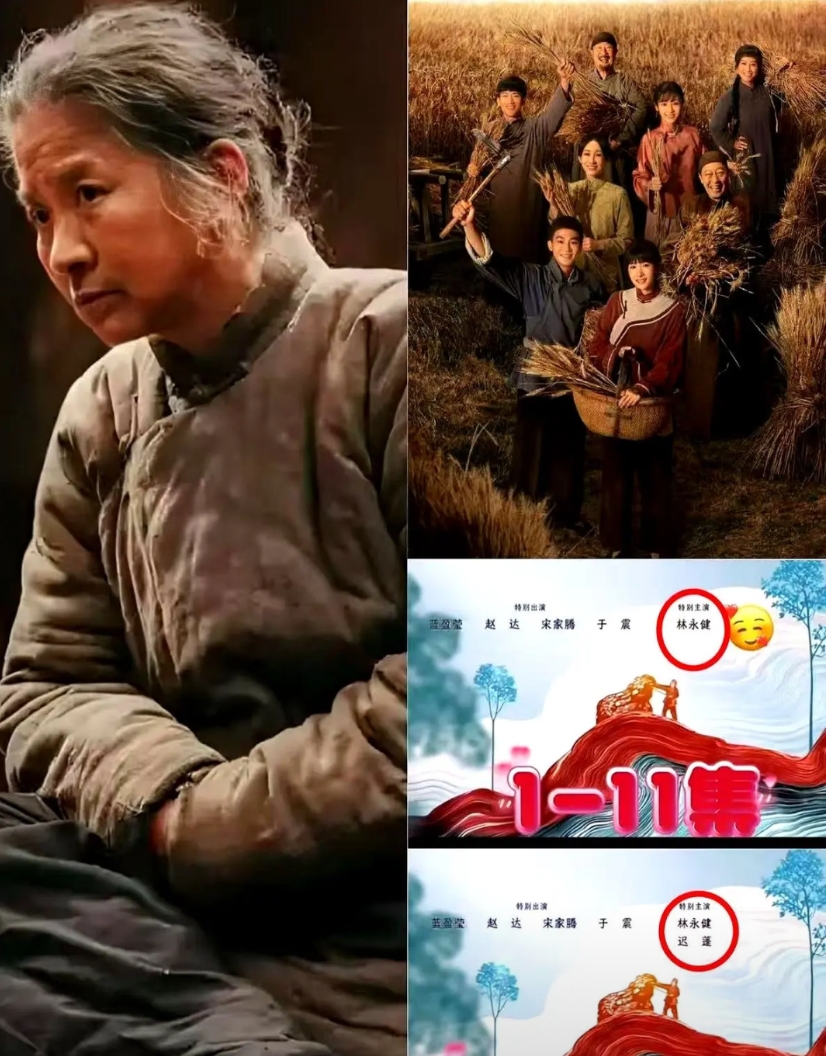 迟蓬被除名，收视率却靠她翻盘，剧组的脸疼不疼？
第12集才补名字，海报上没她，演
