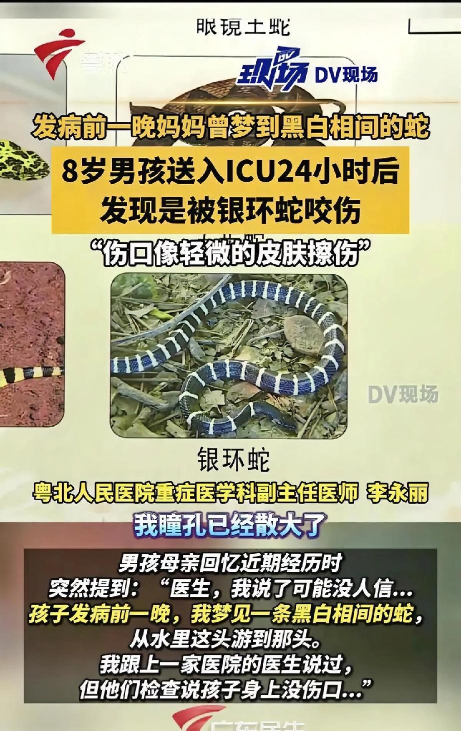 这事儿也太玄乎了！
8岁男孩被送进ICU，
昏迷、没呼吸，病因
还不明。
男孩妈