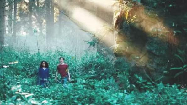 青蒿素与阴阳鱼：在实验室和古籍之间徘徊的东方医学