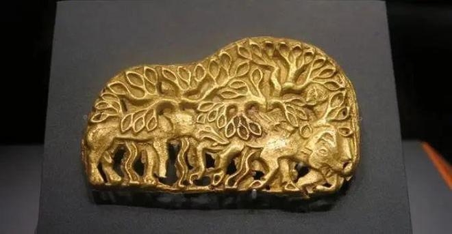 1994 年青海草原上，牧民马天福被反常的羊引到一处，刨开泥土竟现块金灿灿的 “