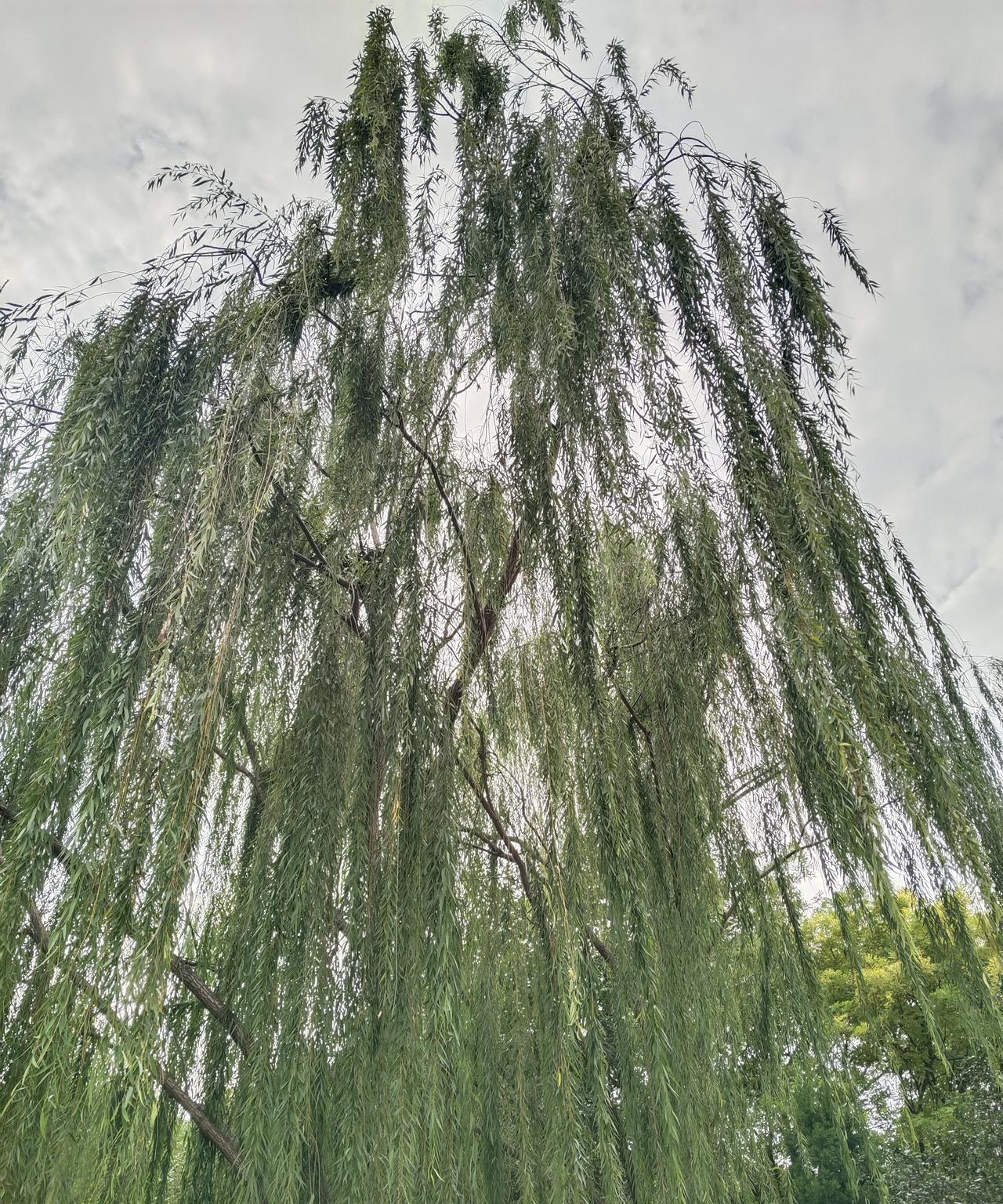 能让人释怀的话
能让人闭嘴的 
从来不是道理 
而是你的身份
不纠结过往的遗憾