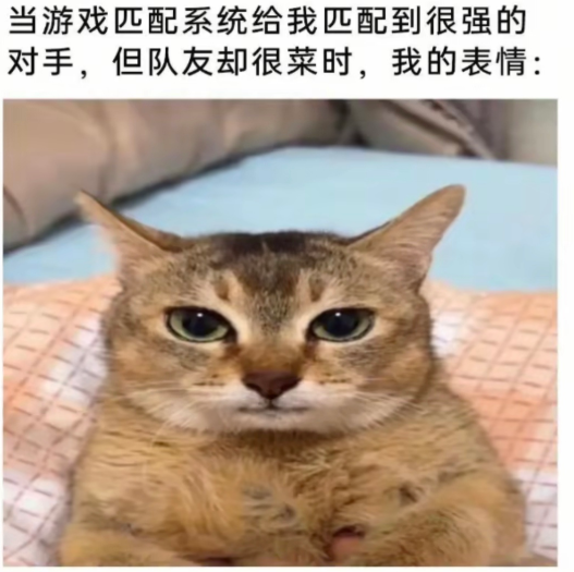 我的表情是这样的