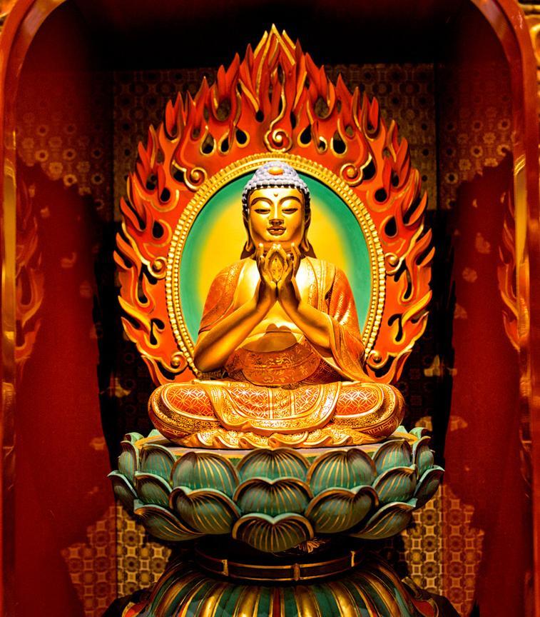 收摄心神，把更多的心力花在真正热爱的事上。
