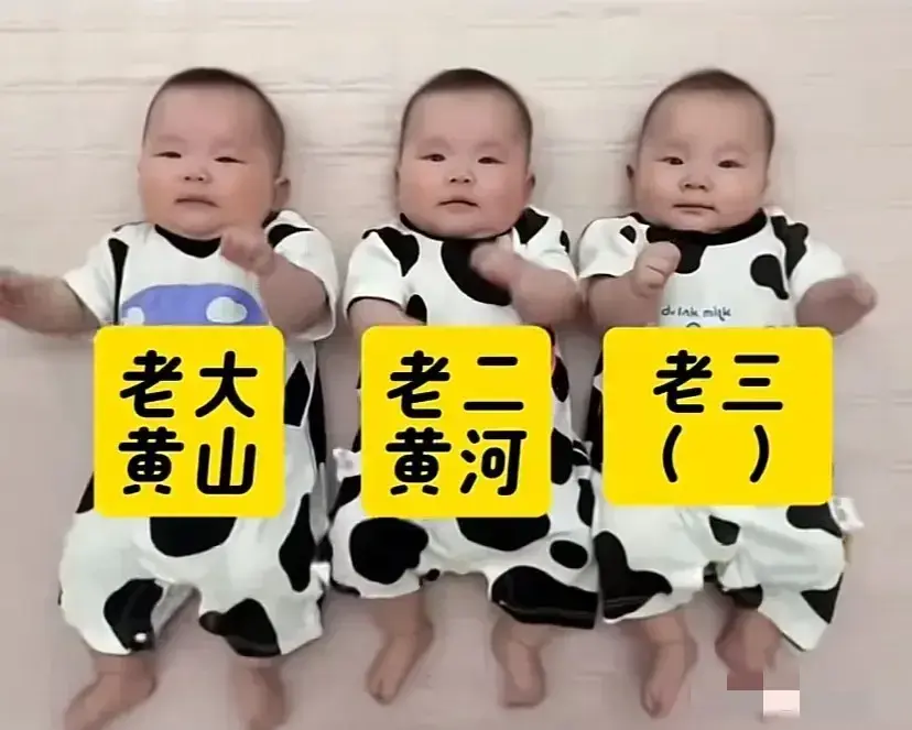 才子们…劳烦给老三取个名，谢谢！